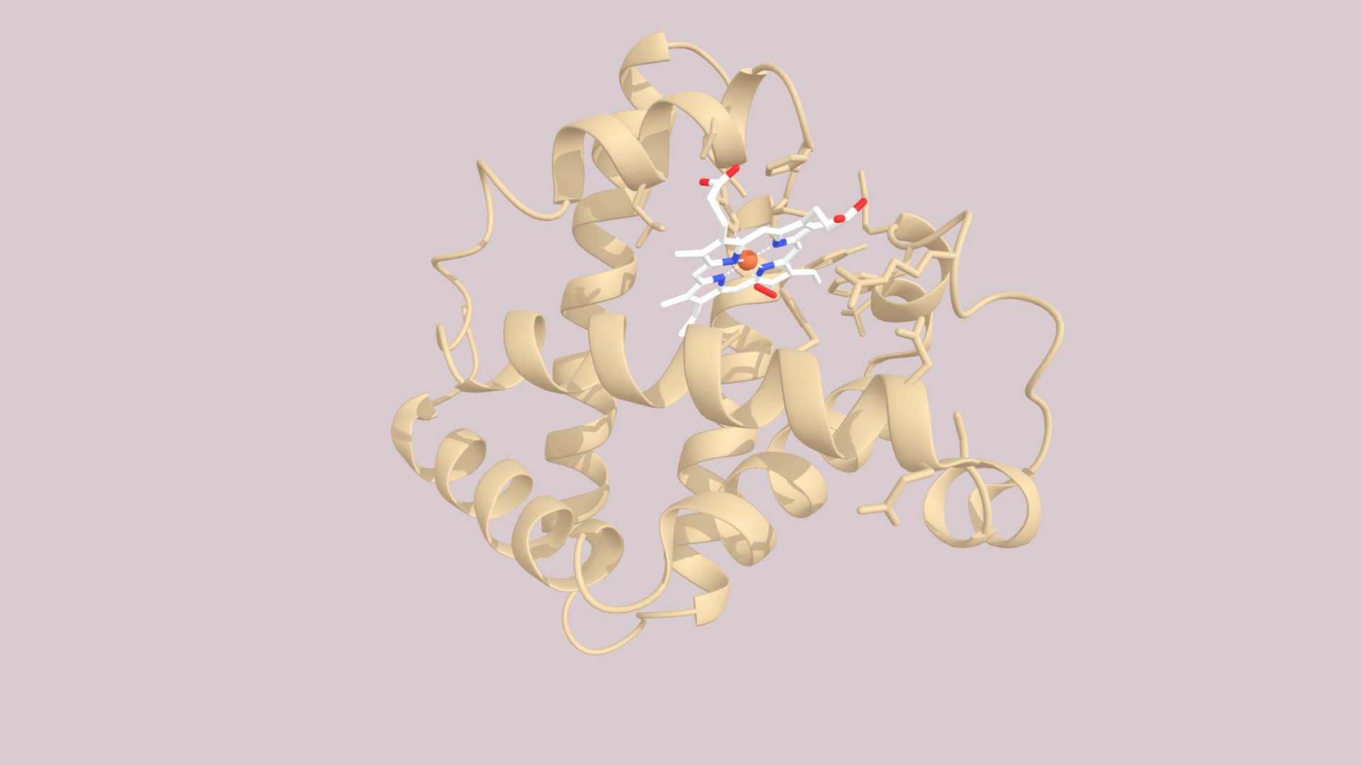 oxy-myoglobin-molecular-structure-download-free-3d-model-by-s-duce