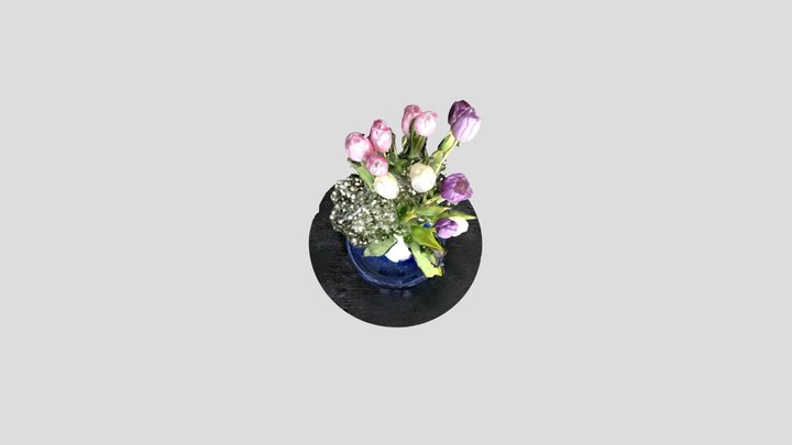 Strauß Tulpen 3D Model
