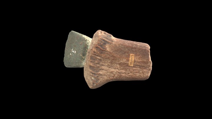 Antler Hafted Tool 3D Model