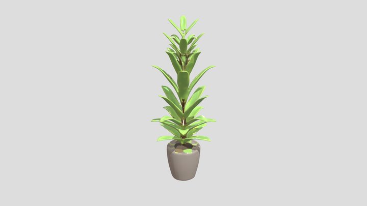 Tall potted plant with elongated leaves 3D Model