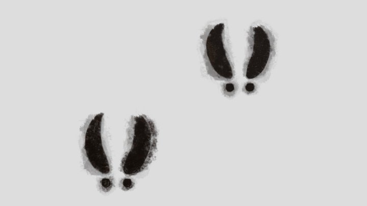 Muddy Deer Tracks 3D Model