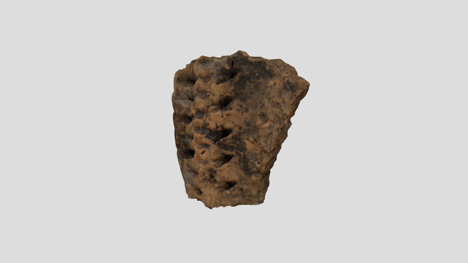 951_Rim_Sherd - 3D model by UNB_MMeade [307f8cd] - Sketchfab