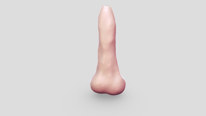 Discopung 3D Model