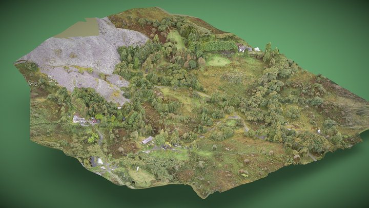 Knotweed Survey 3D Map 3D Model