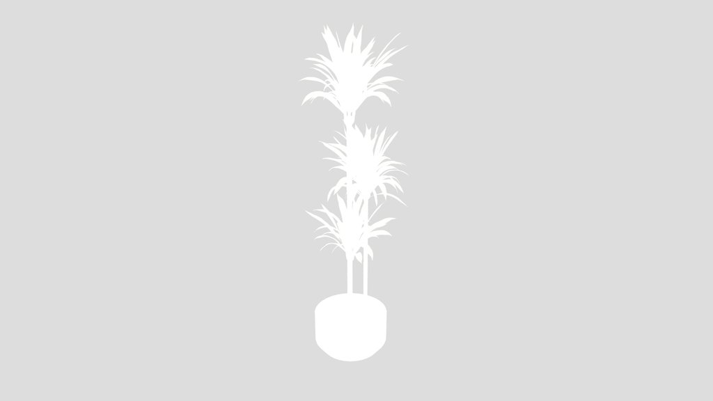 House Plant Lemon Lime