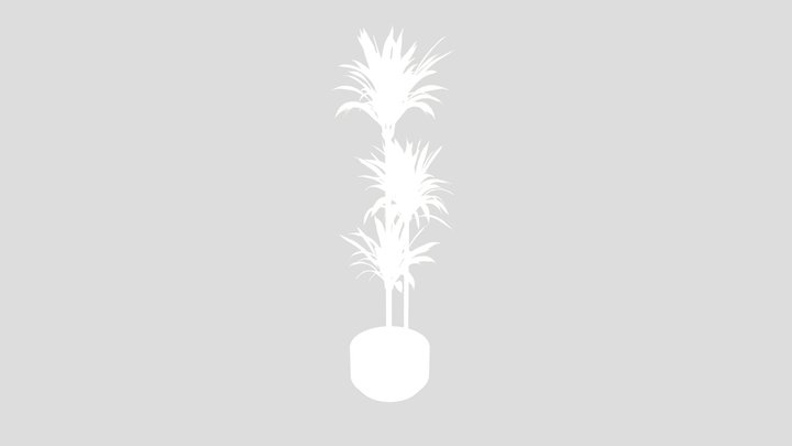 House Plant Lemon Lime – Gratis 3D-model STL