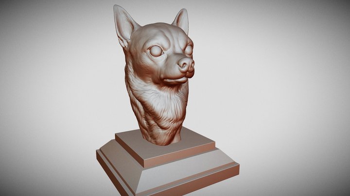 Chihuahua dog bust 3D Model