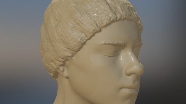 Anna 3D Scan Cleaned & Decimated 3D Model