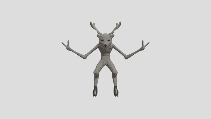 Racoonfin 3D Model