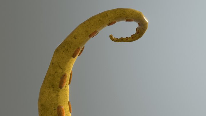 Tentacle 3D Model