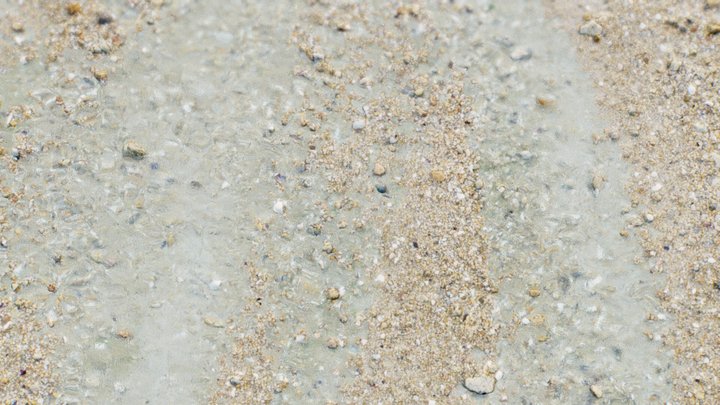 WIP - Intertidal environment