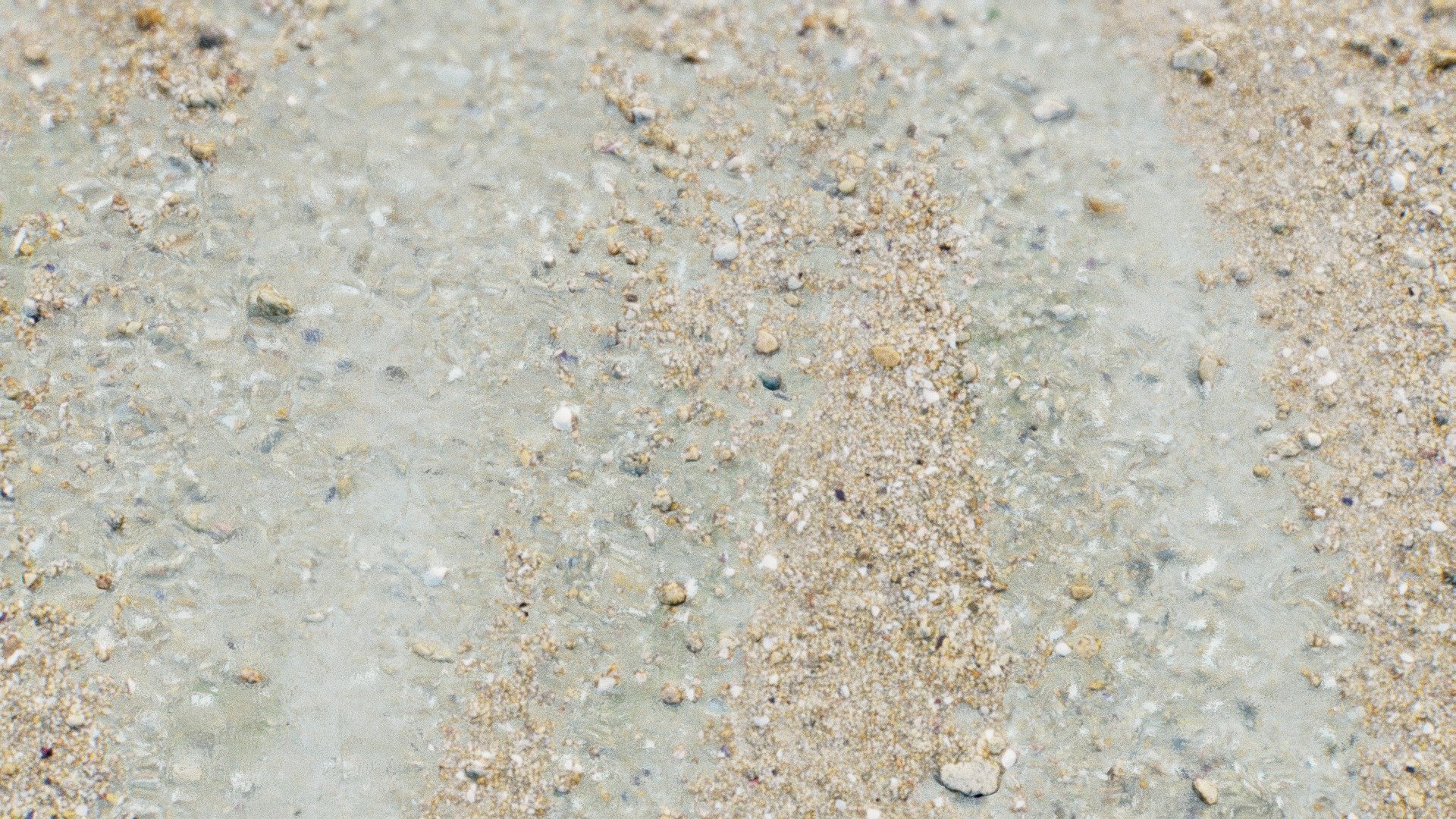 WIP - Intertidal environment
