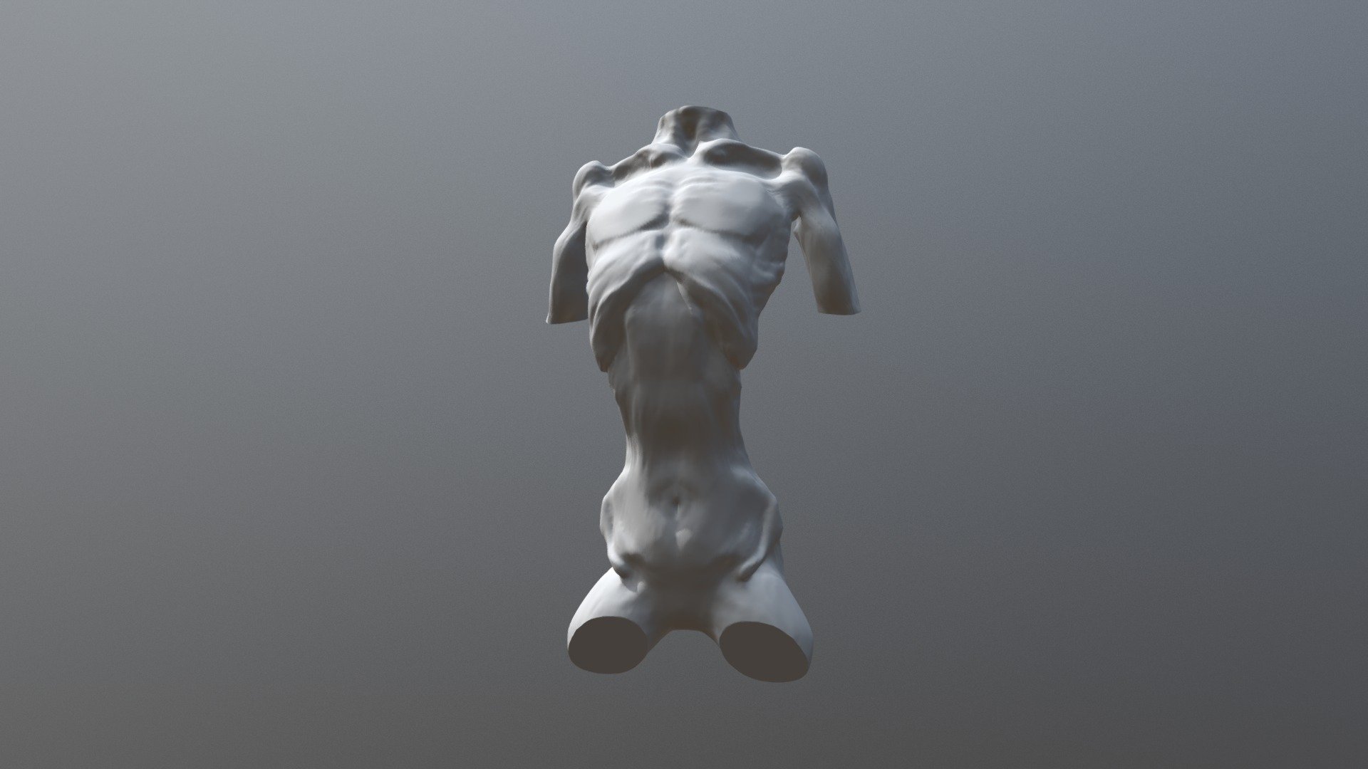 Torso 0.1