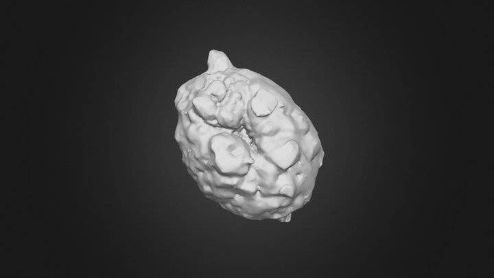 20250114_hailstone_5 3D Model