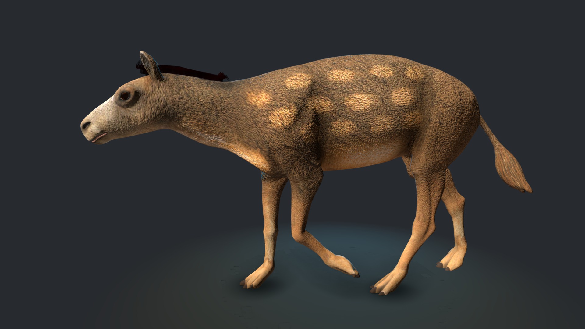 3D model Eohippus - This is a 3D model of the Eohippus. The 3D model is about a brown and white animal.