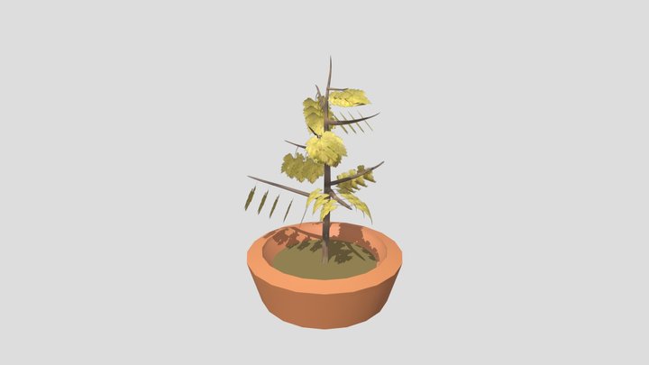 Week8 3D Model
