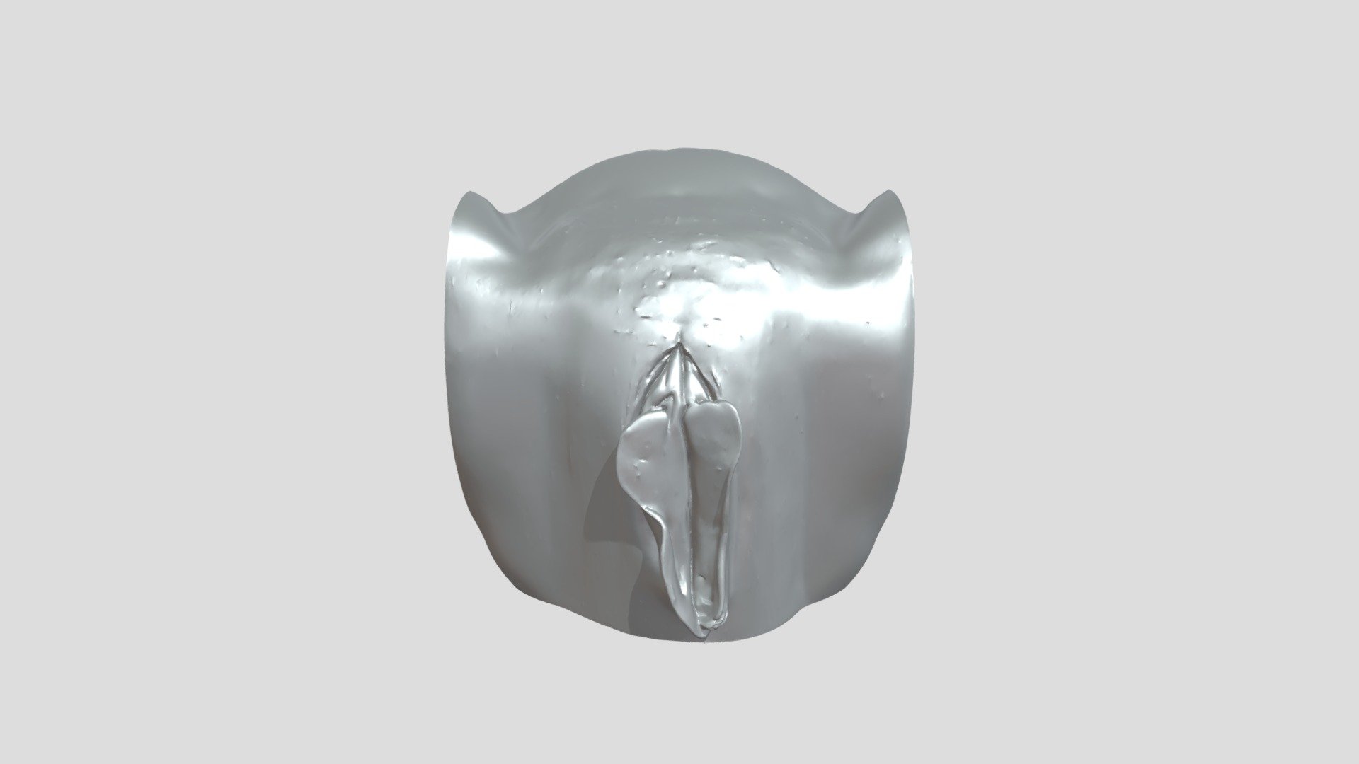 Human Genital Area Close up 3D Model By Themasrter128 30a1cff 