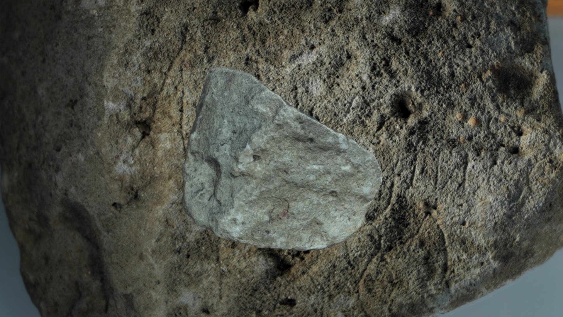 Pierre gravée N°87, caverne des Lataniers
