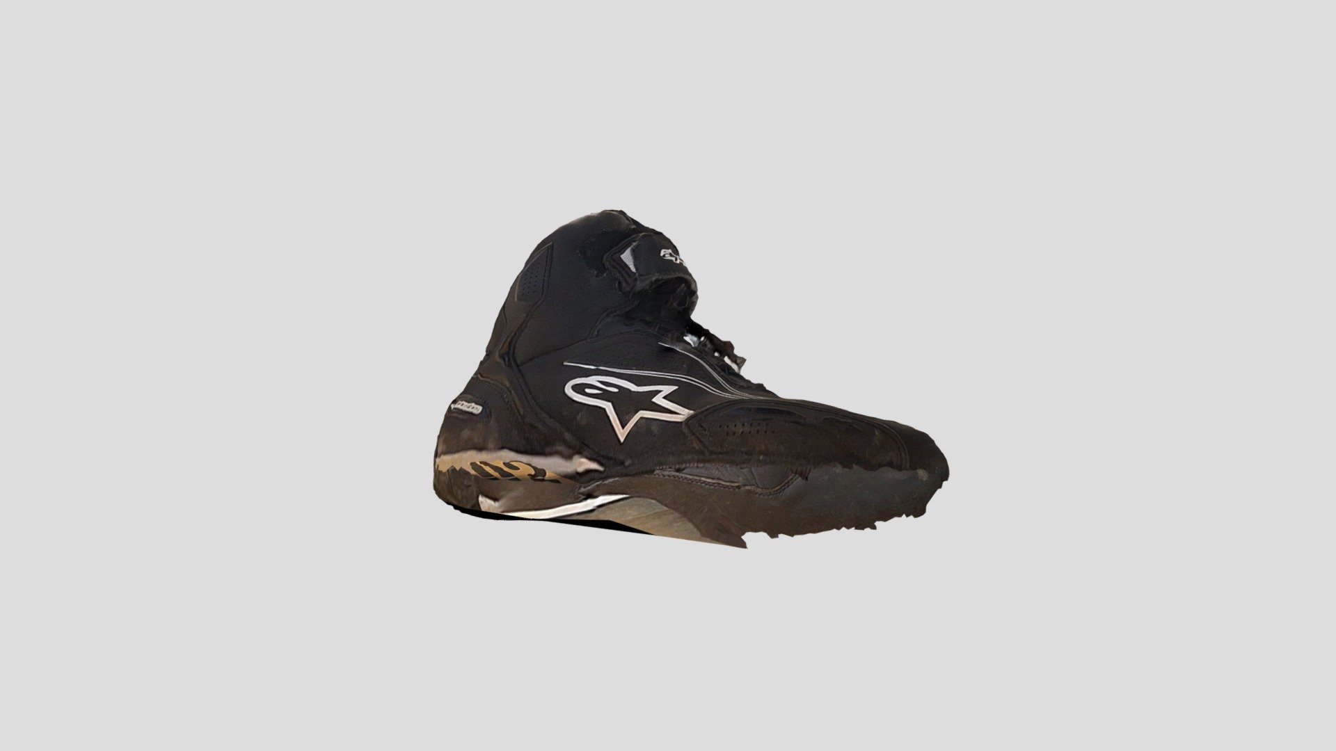 shoe