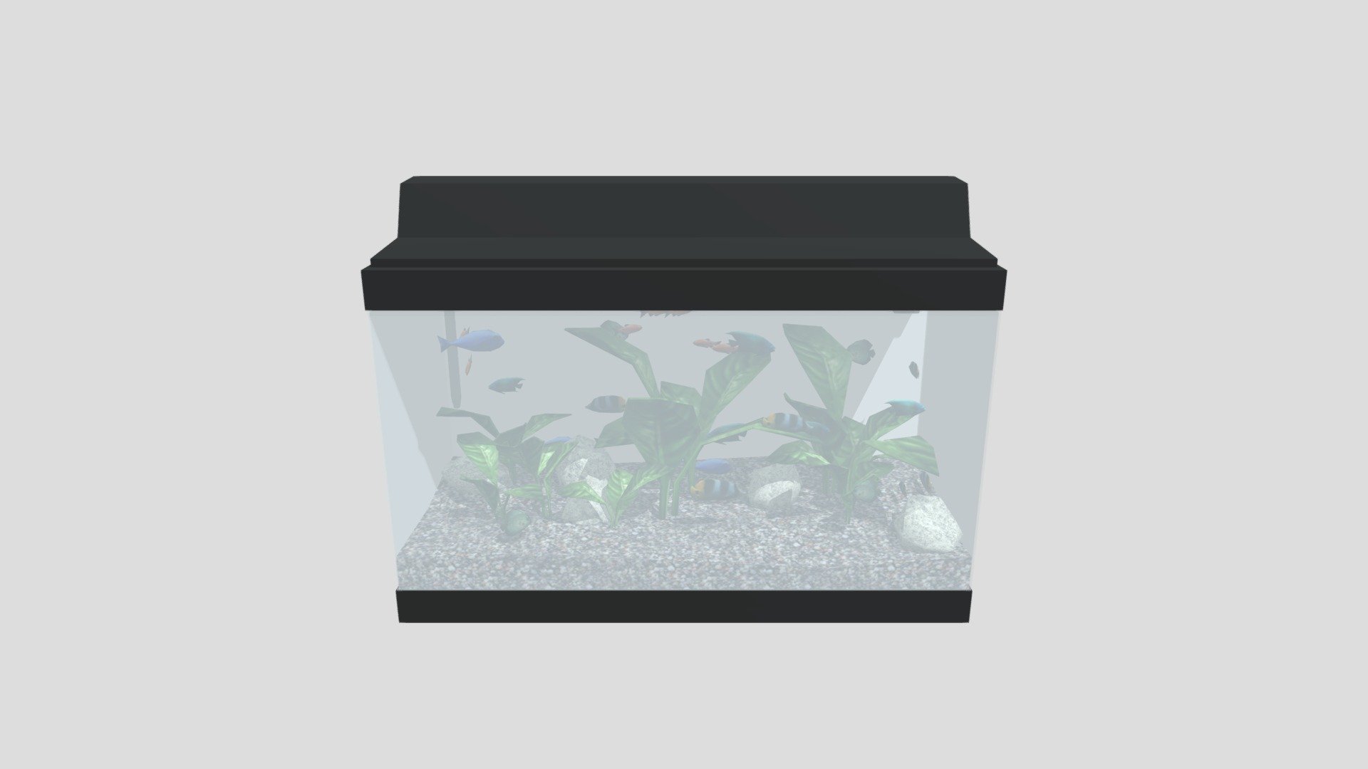 Aquarium 379