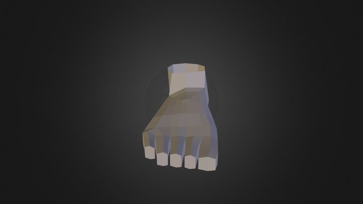 Figure Polygon - Foot 3D Model