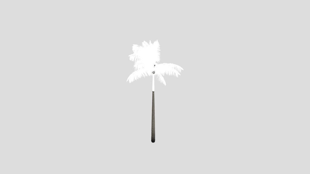 Imperial Palm Tree Animated