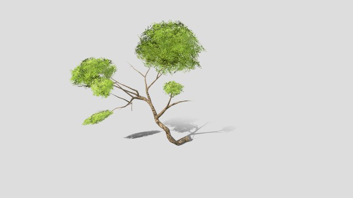 Hill Side Tree – Modello 3D gratuito STL
