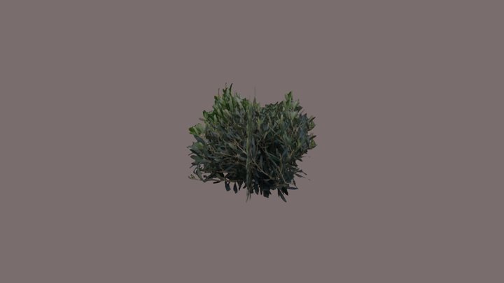 Psx Bush 3D Model