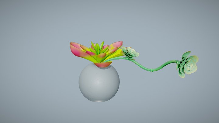 Potted Plant001 3D Model