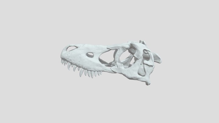 Modelo T-Rex 3D Modelo 3D $20 - .ztl .fbx .obj .unknown .ma - Free3D
