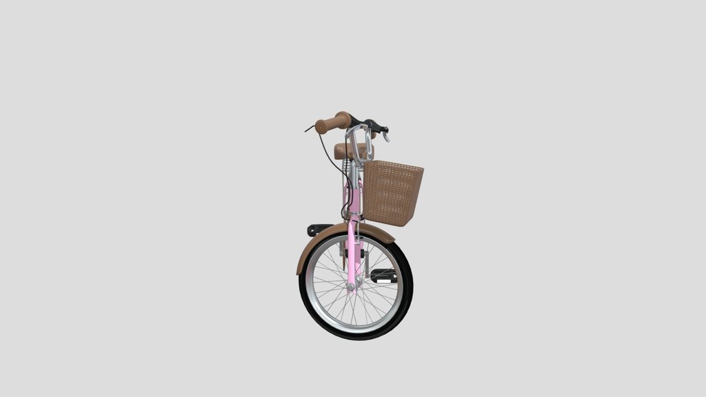 Pink City Bicycle