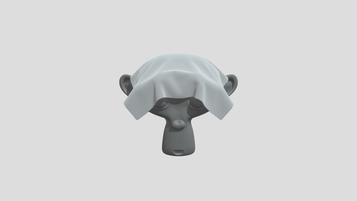 Monkey + dish rag cloth simulation 3D Model