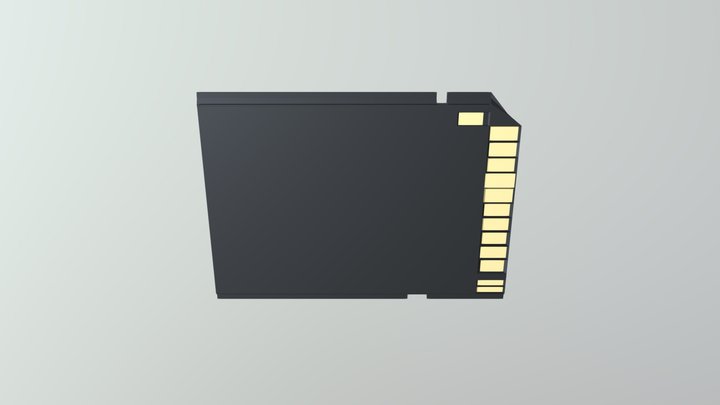 SD 3D Model
