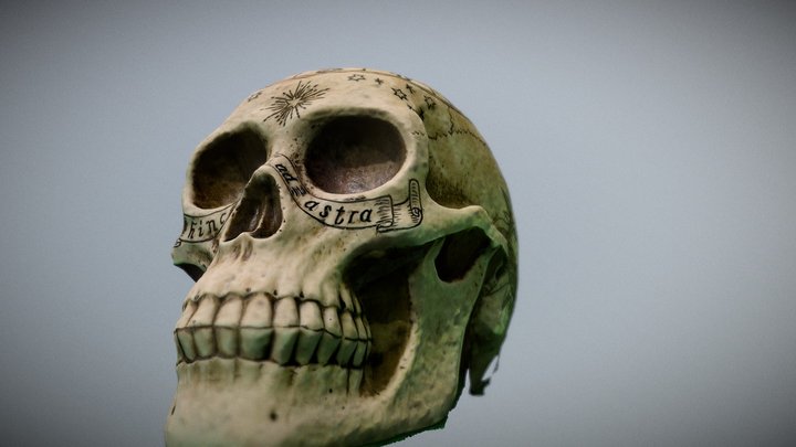 Gothic Skull V.2 3D Model