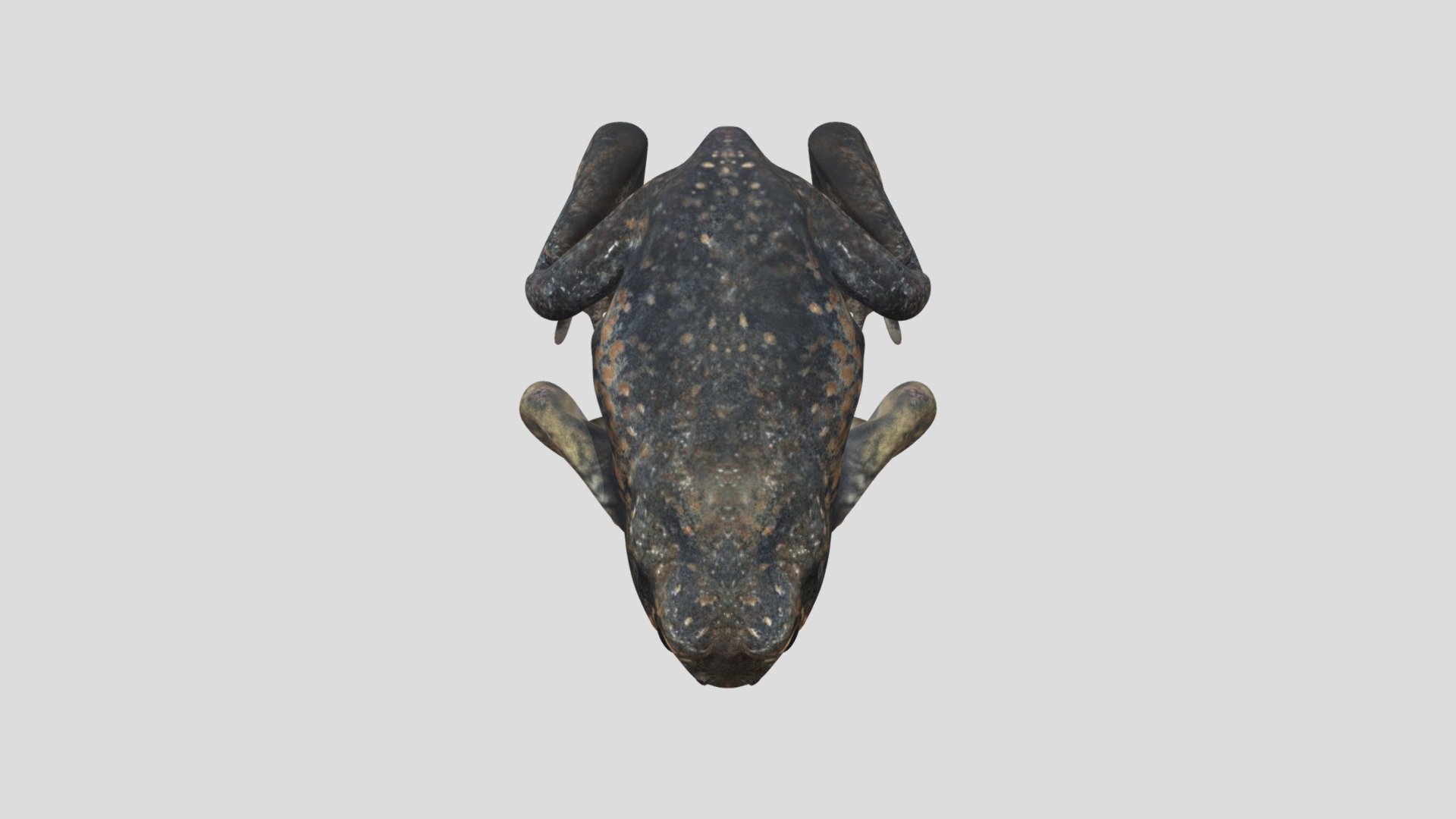 DTS4.2_CUINDA_Y1_Khing_E09_Frog01