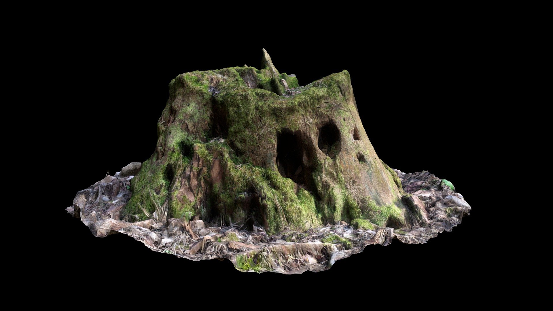 Scanned Tree Stump - Download Free 3D model by sdsketch [30ccf70 ...