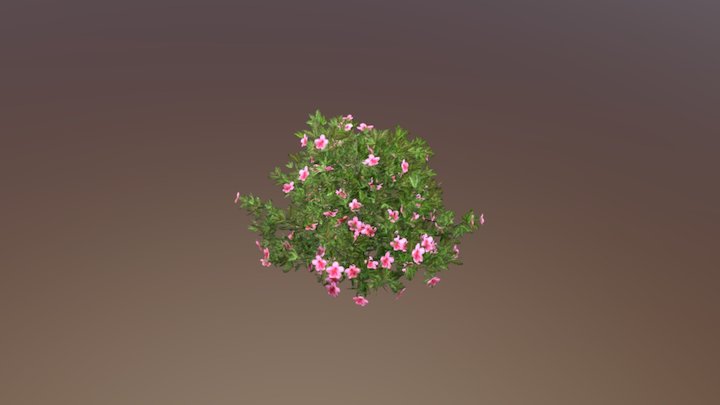SpeedTree, Open Research Content Archive (ORCA) 3D Model