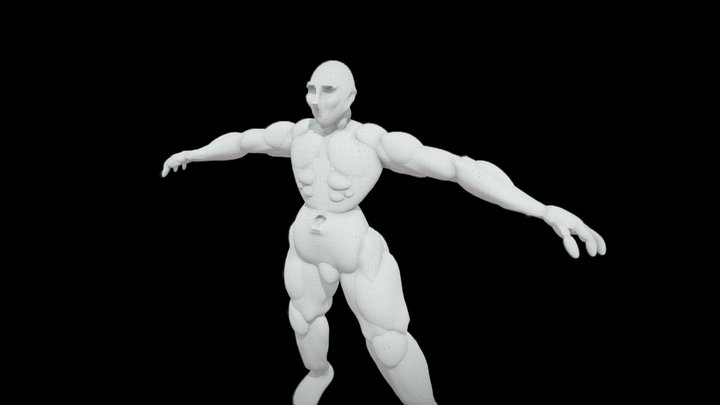 human 3D Model