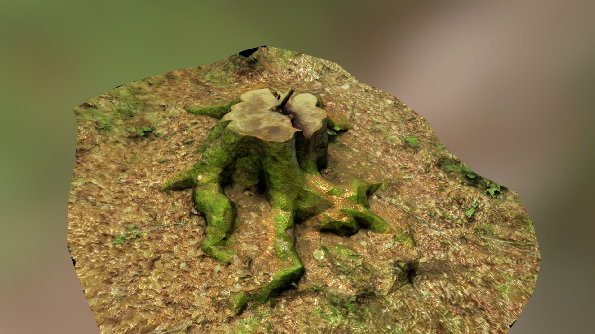 3D model Beech Tree Roots - This is a 3D model of the Beech Tree Roots. The 3D model is about a green frog on a rock.
