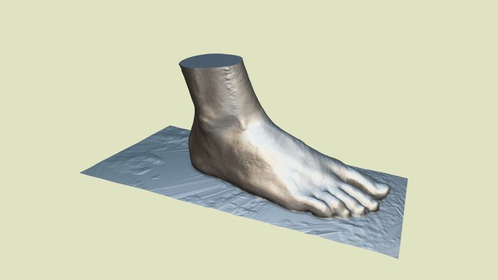Foot on flat surface – Free 3D Model STL