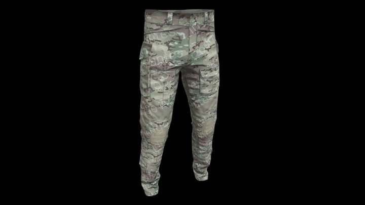 Multicam Combat Pants Crye G3 Style 3D Model