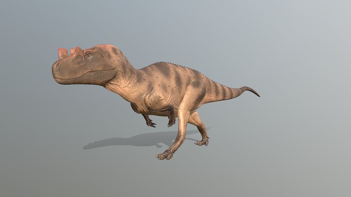Ceratosaurus Nasicornis 3D Model