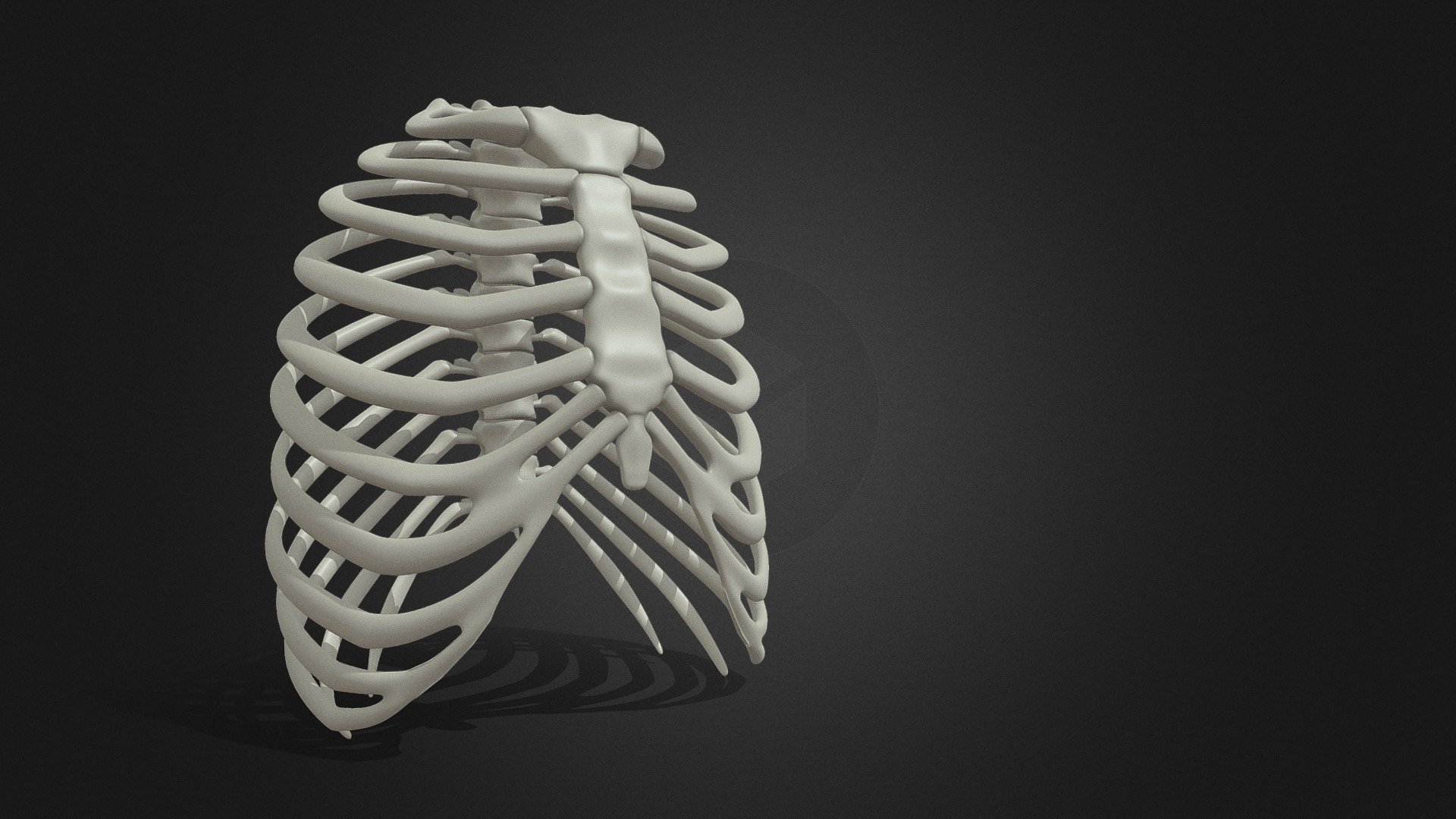 Chest - Download Free 3D model by Michael Mirn (@michaelmirn) [30d57e7 ...