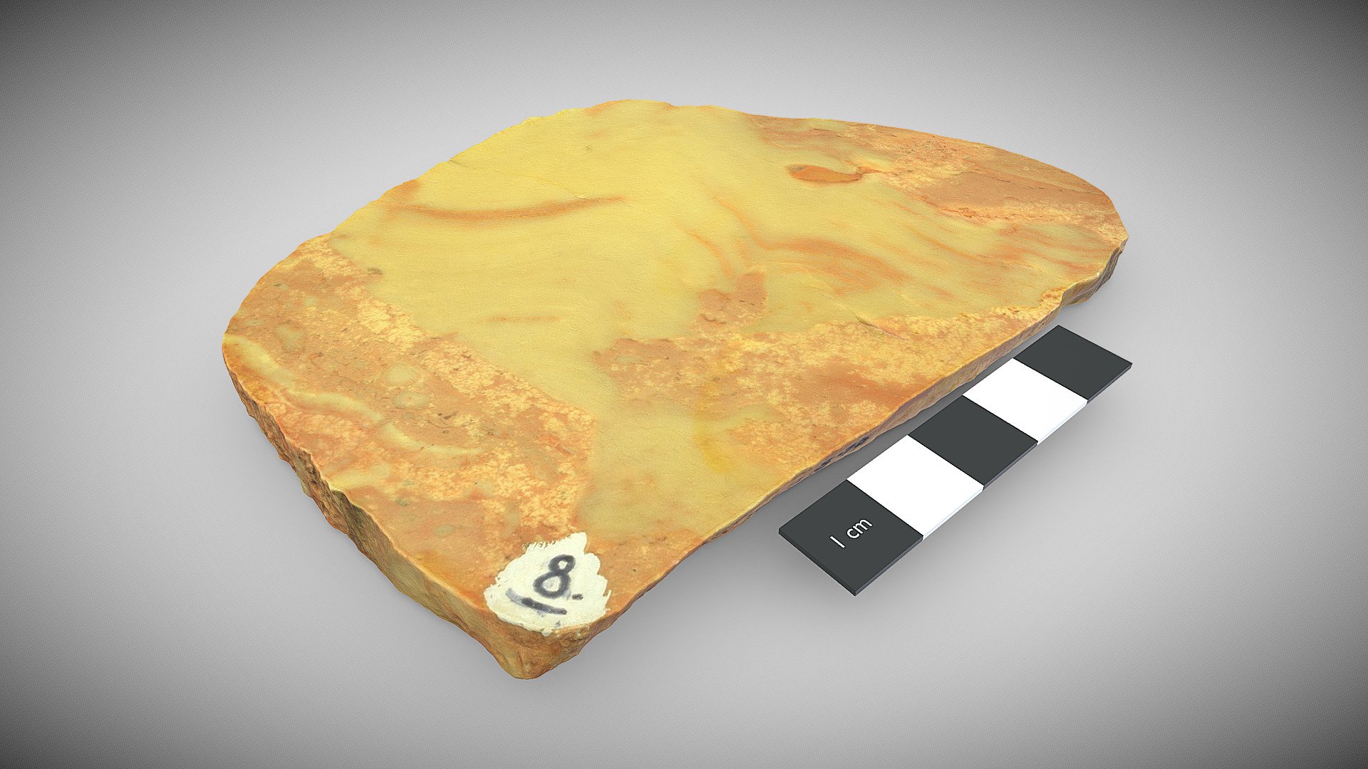 Renalcis and stromatoporoid sponge skeletons