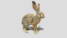 Bon the Rabbit - Download Free 3D model by WendyShadowGaming [df25461 ...