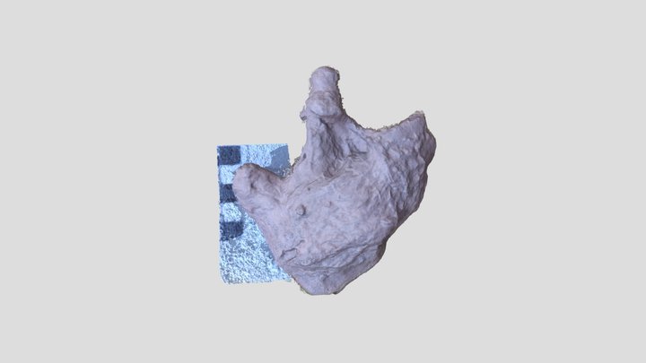 Muestra coleccion RICARDO – Modello 3D gratuito STL