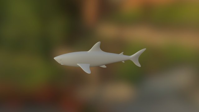 Shark 3D Model