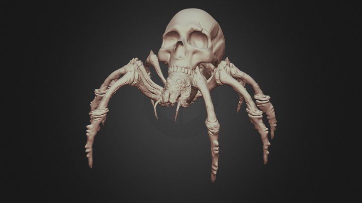Skull Spider 3D Print 3D Model