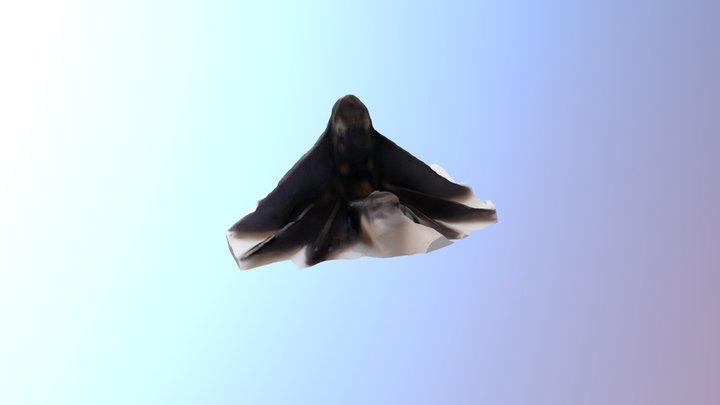 Witcher wolf2 3D Model