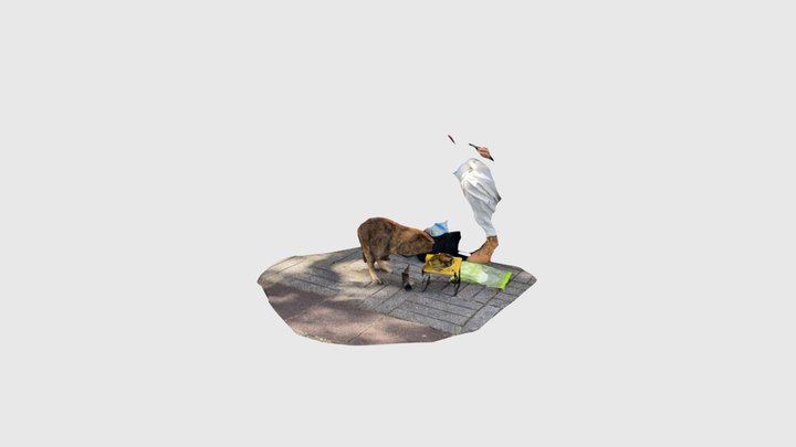 猫 3D Model